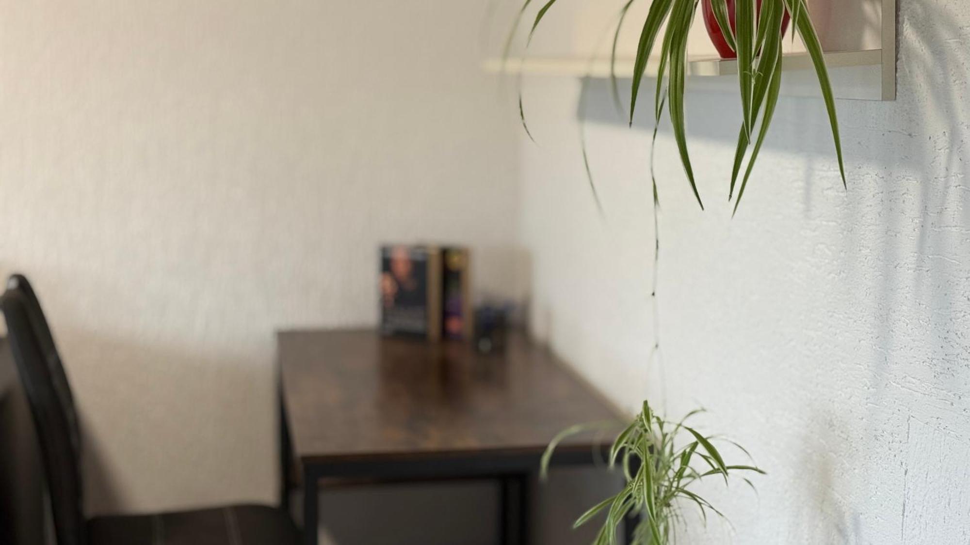 Gemuetliche 2 Zimmer Wohnung Bad Hersfeld Luaran gambar
